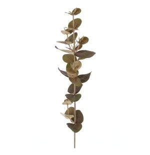 Mr Plant eukalyptus vihreä 40cm kuva