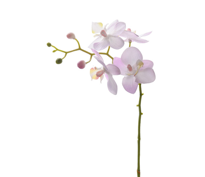 6242 10 mr plant pieni roosa vaaleanpunainen orkidea tekokukka liten rosa ljusrod konstblomma konstgjord blomma orkidea 28 cm kuva