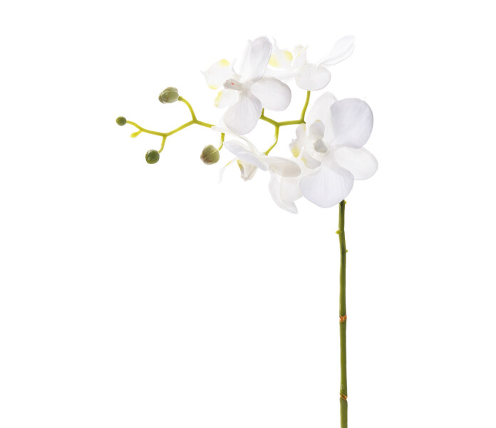 6242 10 mr plant pieni valkoinen orkidea tekokukka liten vit konstblomma konstgjord blomma orkidea 28 cm kuva