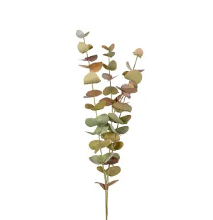 Mr Plant eukalyptus monivärinen 60cm kuva