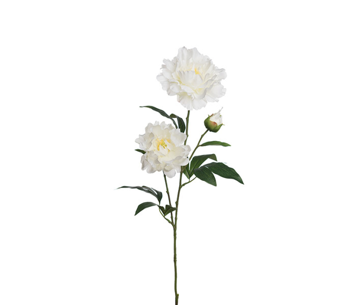 2462 20 mr plant koristeoksa koristekukka tekokukka pioni valkoinen pion vit konstblomma kuva