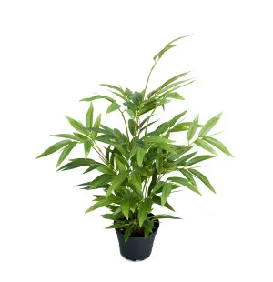 Mr Plant bambu 45 cm kuva