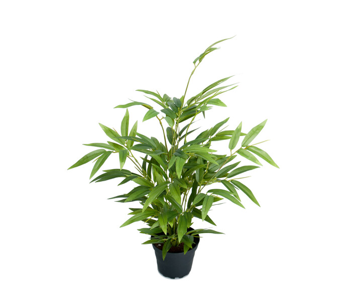 9090 90 1 mr plant bambo bambu tekokukka konstblomma ruukkukukka krukvaxt kuva