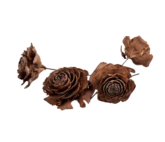 423160 kapyruusu koriste kranssitarvike kotteros dekoration kranstillbehor kuva