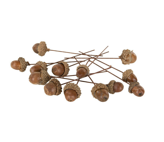 14599 kranssitarvike tammenterho kranstillberhor ekollon kuva