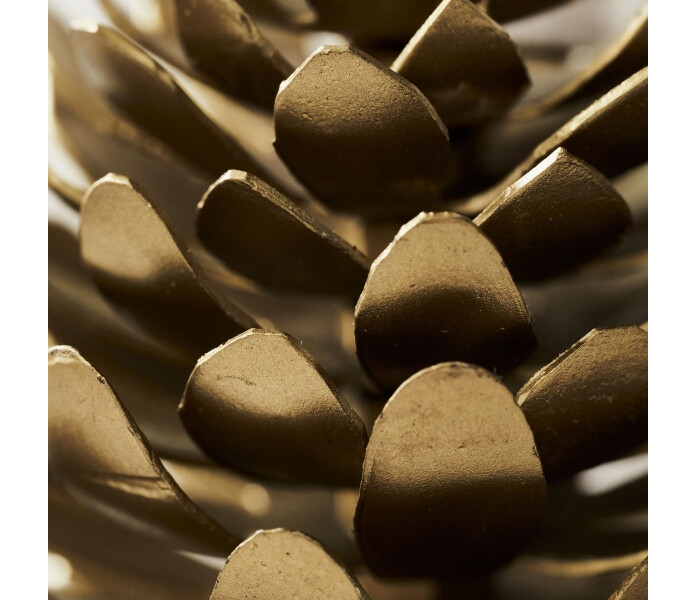 204000001 house doctor pinus kapy koriste paikkakorttipidike 2 kuva