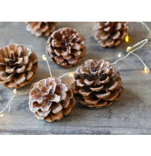 Chic Antique käpy glitterillä 5 kpl / 5 cm kuva