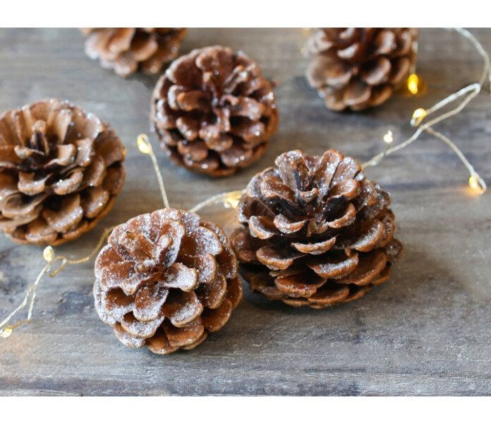 52027100 chic antique kapy glitterilla kotte med glitter kuva