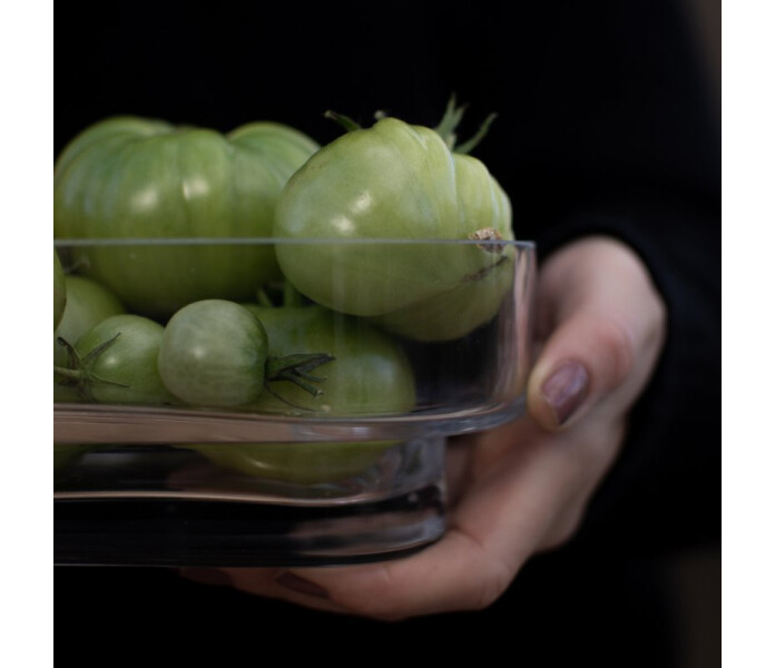 dbkd keeper plant lasi lasinen kulho lasikulho glasskal skal 2 kuva