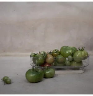 DBKD Keeper Plant kulho 24 x 11 x 7 cm kuva