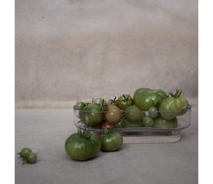 dbkd keeper plant lasi lasinen kulho lasikulho glasskal skal kuva