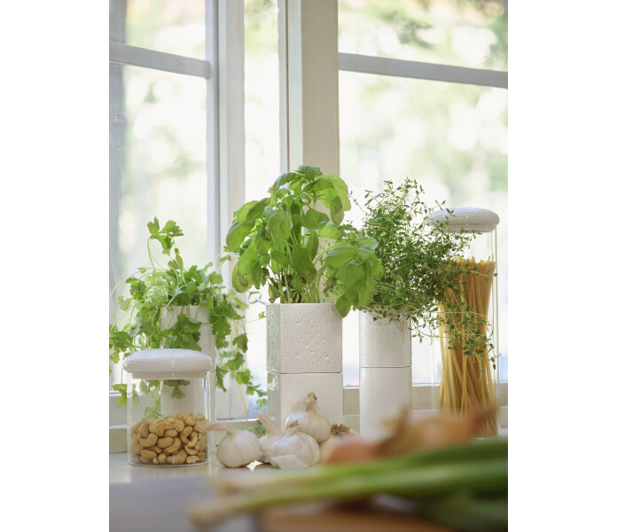 50690485386 248a84e391 o kuva