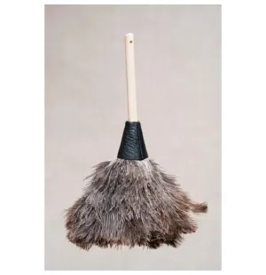 Sahlins Struts lyhytvartinen pölyhuiska  kuva