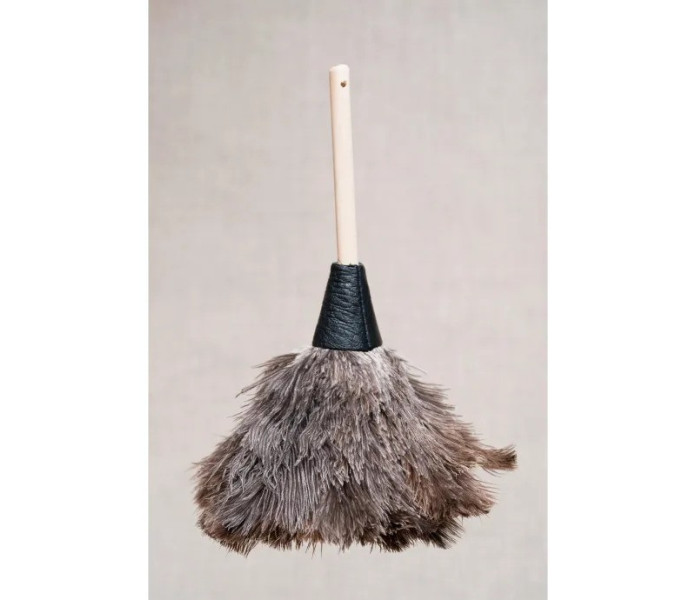 602 HR Living polyhuiska lyhytvartinen strutsi dammviskare struts kuva