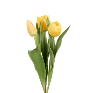 Mr Plant tulppaani keltainen lajitelma 36cm kuva