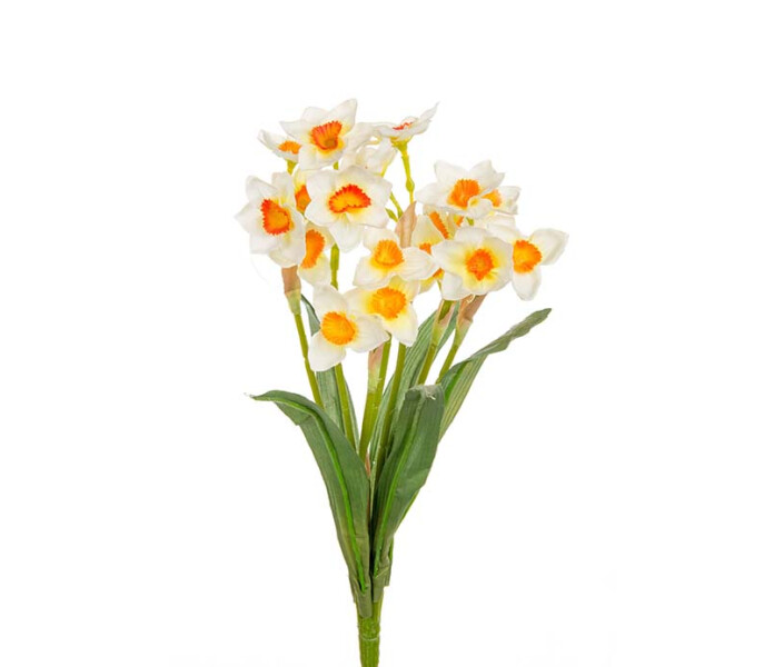 8085 10 Mr Plant narsissi pingstlilja valkoinen valko oranssi vit orange 40cm  kuva