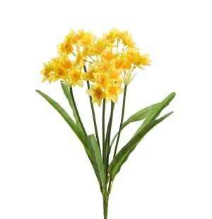 Mr Plant narsissi keltainen kimppu 43 cm kuva
