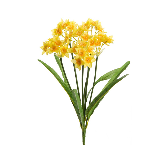 1583 50 Mr Plant narsissi kimppu nippu keltainen narciss bukett bunt gul 43cm  kuva
