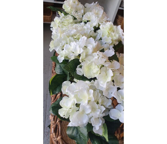 mr plant silkkikukka tekokukka koristekukka valkoinen hortensia ruukussa kuva