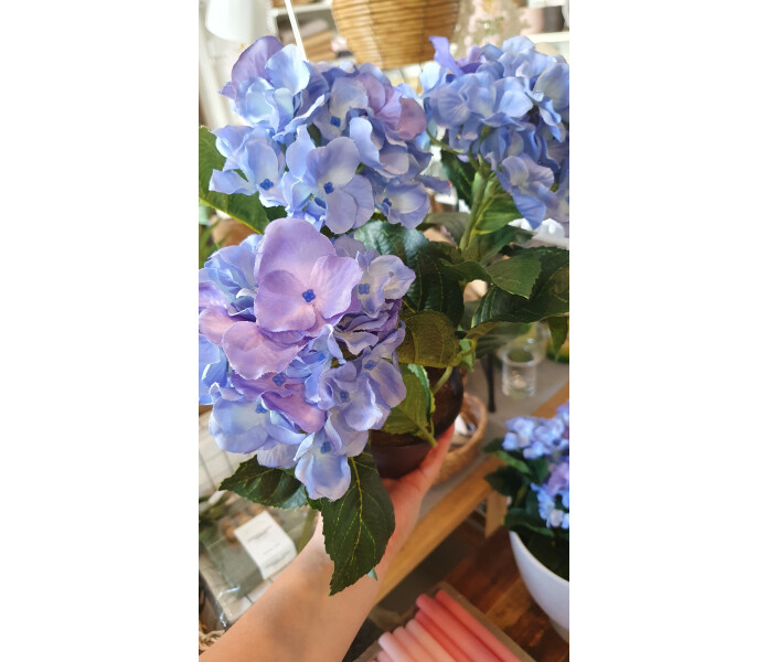 mr plant silkkikukka tekokukka koristekukka sininen hortensia ruukussa 2 kuva
