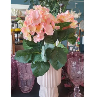 Mr Plant hortensia ruukussa roosa kuva