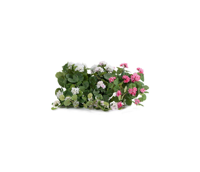 2064 99 1 mr plant tekokukka silkkukukka koristekukka riippapelargonia ruukussa pinkki vaaleanpunainen 50 cm kuva