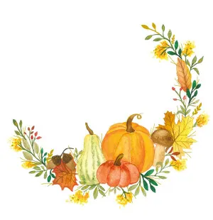 PPD Pumpkin Flair servietti 33 x 33 cm 20kpl kuva