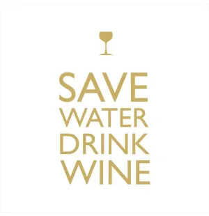 PPD Save Water Drink Wine servietti 33 x 33 cm 20kpl kuva