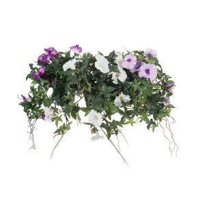 Mr Plant päivänsini ruukussa violetti 45 cm kuva