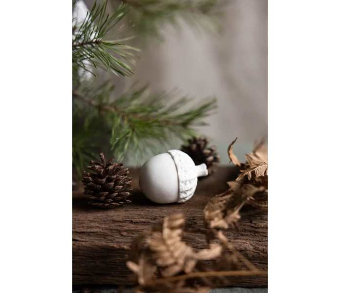 517110 askeby storefactory syksyinen koriste valkoinen tammenterho kuva