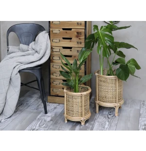 Chic Antique suojakori ruukkukasville rottinkia 40 x 30 cm kuva