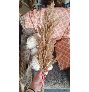 Mr Plant pampaheinä beige 120cm kuva