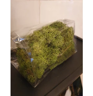 A Lot Dekoration palosuojattu sammal vihreä 50g kuva