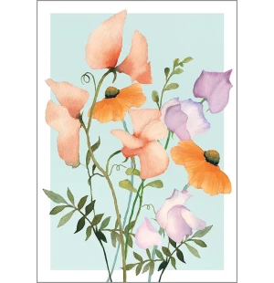 Putinki Henna Adel postikortti - Tuoksuherne kuva