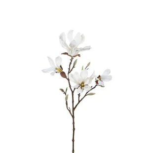 Mr Plant magnolia valkoinen 60 cm kuva