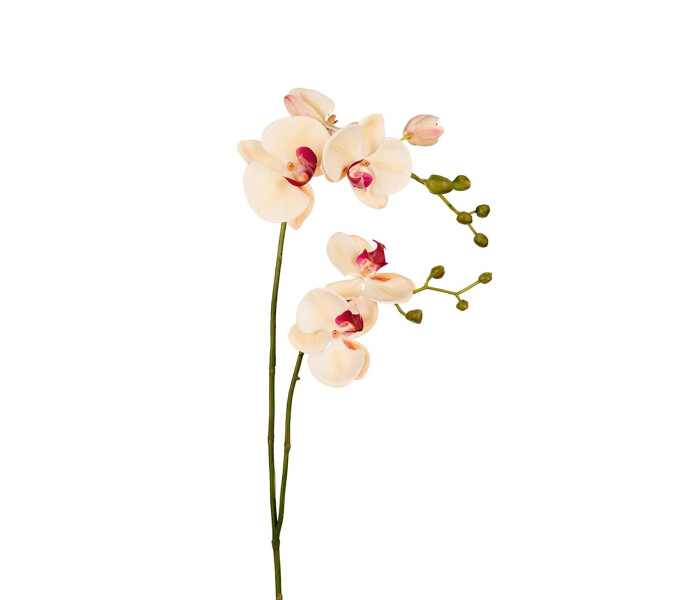 9819 51 Mr Plant orkidea oksa persikka keltainen orcidea kvist persika gul 100cm kuva