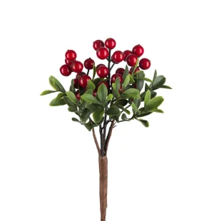 Mr Plant pieni marjaoksa punainen 20 cm kuva