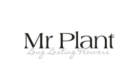 Mr Plant Mr Plant