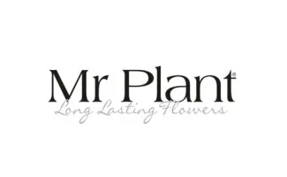 Mr Plant Mr Plant