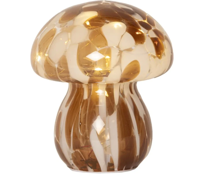 SR 581 35 star trading funghi lasinen sieni ledvaloilla kuva