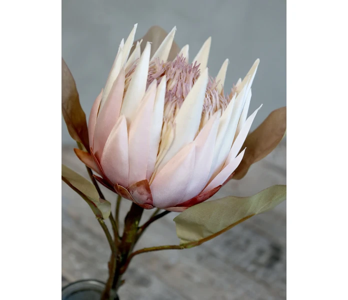 chic antique tekokukka koristekukka silkkikukka protea vanha roosa 60 cm 2 kuva