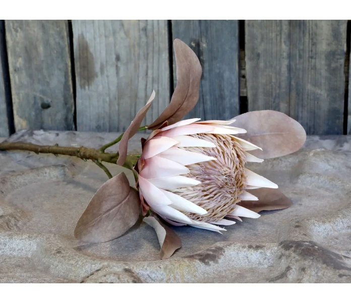 chic antique tekokukka koristekukka silkkikukka protea vanha roosa 60 cm 3 kuva