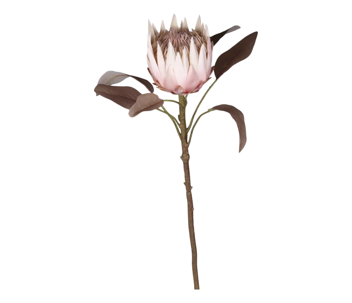 chic antique tekokukka koristekukka silkkikukka protea vanha roosa 60 cm kuva