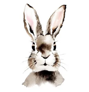 Putinki Henna Adel postikortti - Jänis kuva